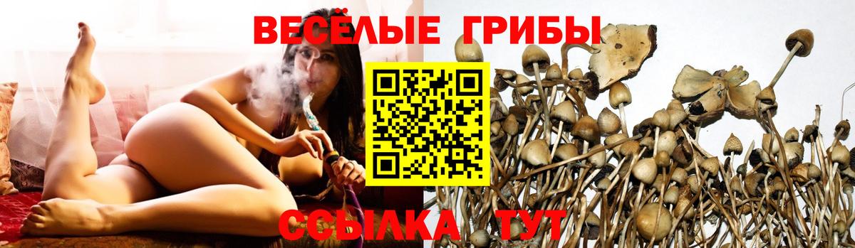 Псилоцибиновые грибы Cubensis  Вход с VPN  Санкт-Петербург 