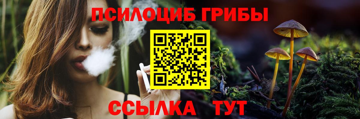 Галлюциногенные грибы прущие грибы Санкт-Петербург